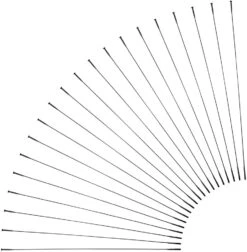 Sapim CX-Ray Straightpull Speichen + Nippel - 20 StĂŒck